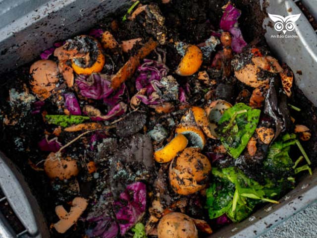 Phân bón hữu cơ từ việc tái sử dụng rác nhà bếp