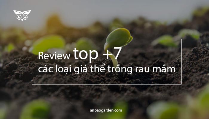 Review top +7 các loại giá thể trồng rau mầm