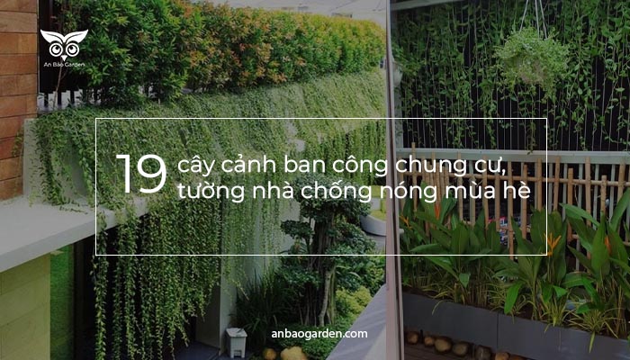 banner cac loai cay canh ban cong