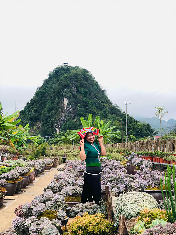 không gian thiên nhiên tại Mộc Châu