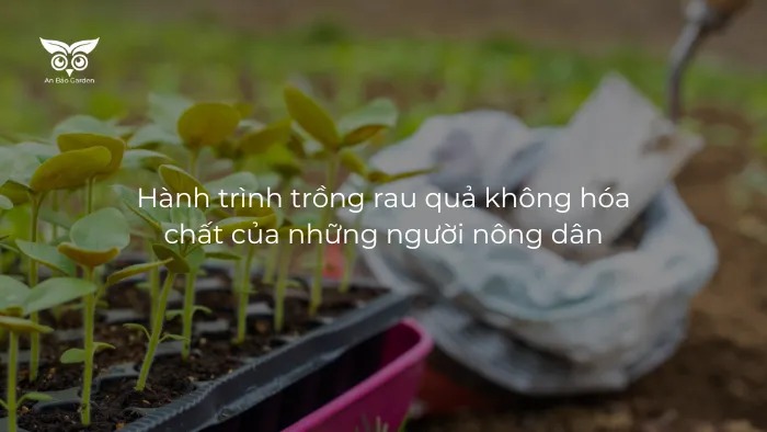 Hành trình trồng rau quả không hóa chất của những người nông dân jpg