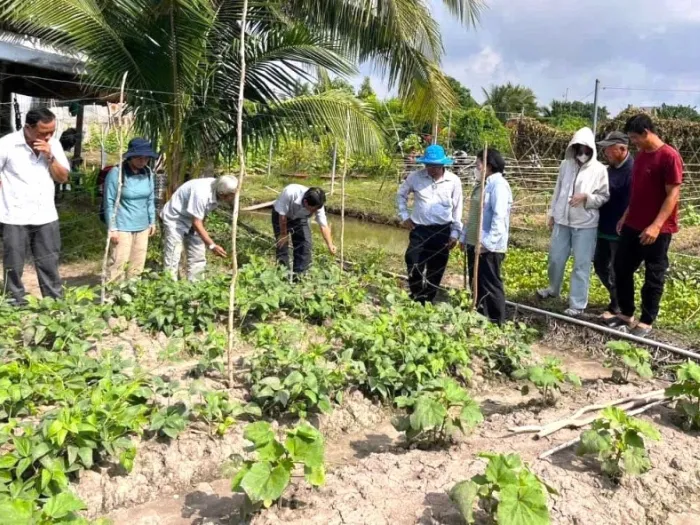 Một buổi kiểm tra chéo của những thành viên trong tổ sản xuất rau hữu cơ. Ảnh_ Nguyễn Khánh_5